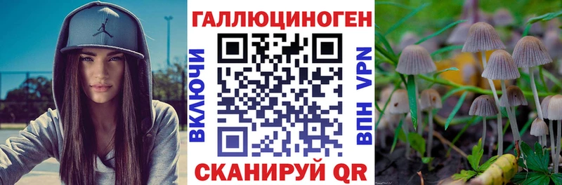 Псилоцибиновые грибы MAGIC MUSHROOMS  где купить наркоту  Южно-Сахалинск 